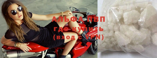 спиды Покачи