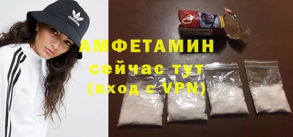 метадон Богданович
