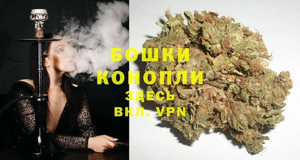 спиды Покачи