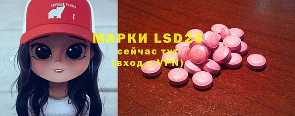 стаф Богородицк