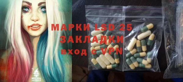стаф Богородицк