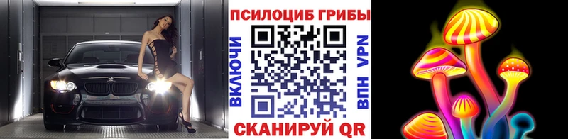 Галлюциногенные грибы прущие грибы  Щучье 
